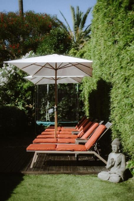Maison Avec Jardin Tropical A 5 Minutes De La Croisette 戛纳 外观 照片