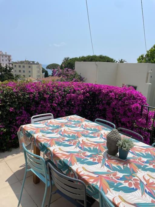 Maison Avec Jardin Tropical A 5 Minutes De La Croisette 戛纳 外观 照片